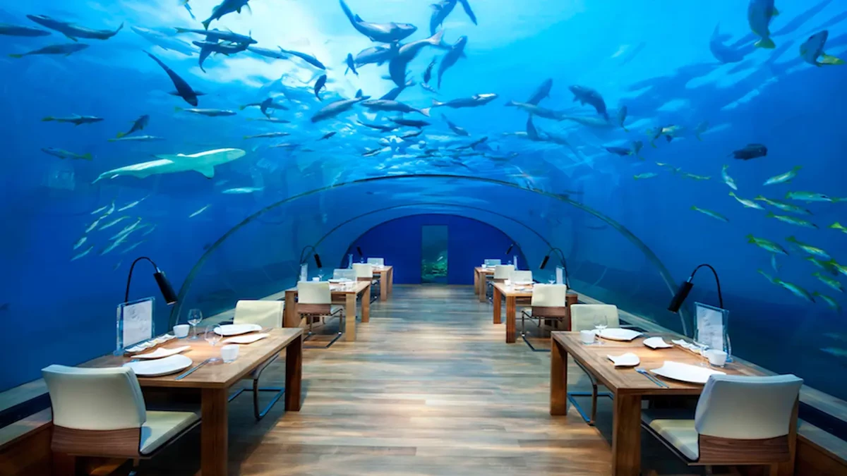 Maldives Underater Dining