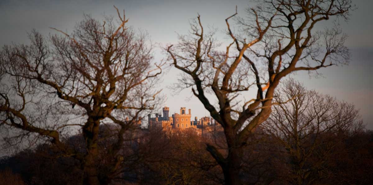 the castle through the woods