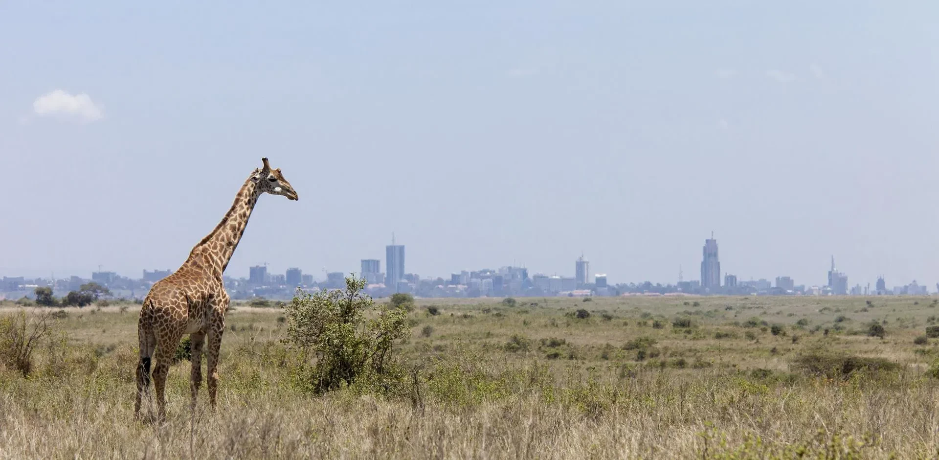 Fly Charter to Nairobi with VistaJet