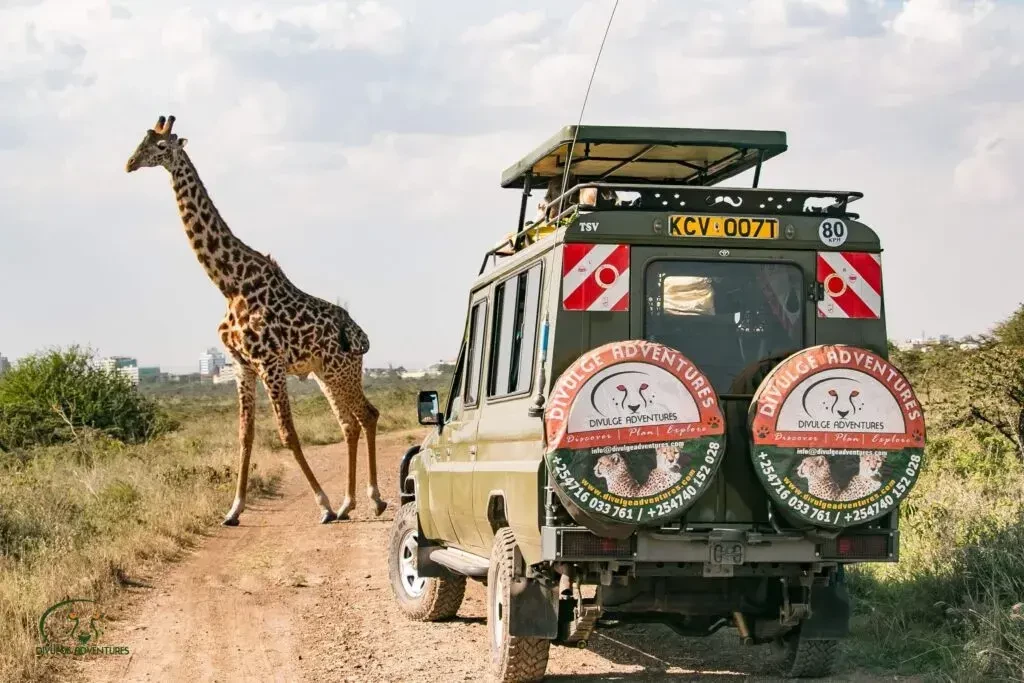 Nairobi National Park